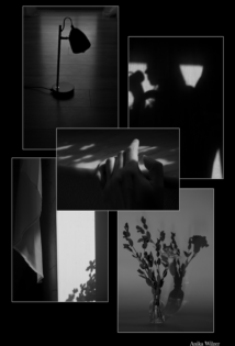 Eine Collage, die monochrome Fotografie, zum Thema Licht und Schatten enthält. Bild 1: Eine schwarze Lampe steht im Kontrast zum durchs Fenster einfallenden Tageslicht. Bild 2: Schatten einer auf dem Stuhl sitzenden Frau mit Tasse in der Hand. Bild 3: Eine Hand liegt auf der Fensterbank. Lichtflecken fallen verstreut darauf. Bild 4: Schatten von Blumen fällt auf die Wand neben der Gardine. Bild 5: Trockenblumen in einem kleinen Glas werfen Schatten auf den weißen Hintergrund.